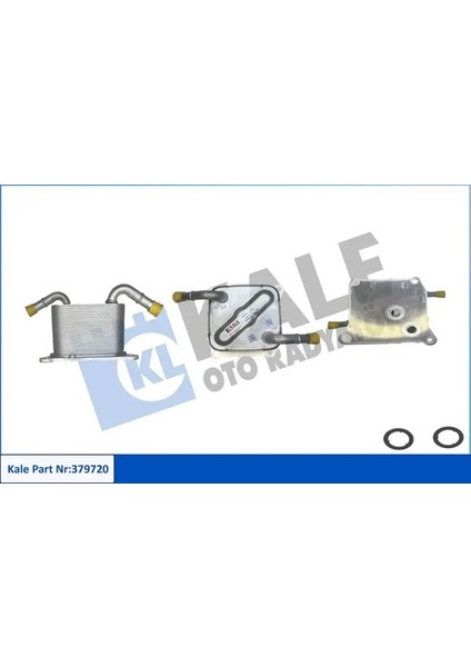 379720 Sanziman Yag Sogutucusu 216063JX0B 216063JXOB