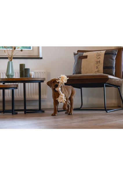 Techmrt Beeztees Yavru Köpek Oyuncağı, Çift Düğümlü Diş Ipi, Peluş, Pembe, 30X6X4,5CM modelleri