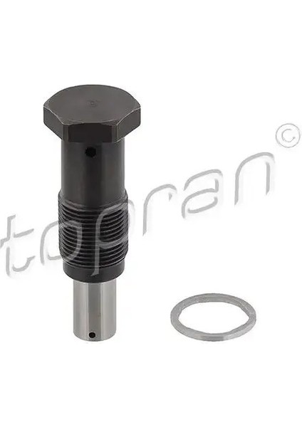 115868001 Eksantrik Zincir Gergisi 03F109507D 03F109507F