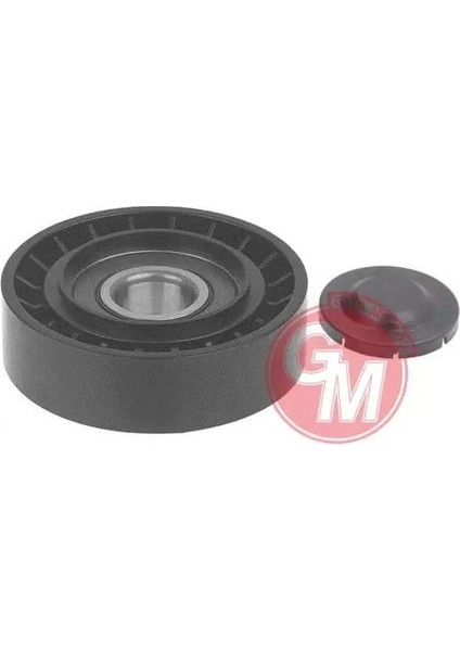 40896 Alternator Gergi Bilyasi 11955BN701 8200048486