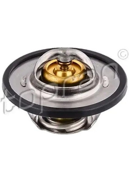 720750001 Termostat 133811 133844 7700723945