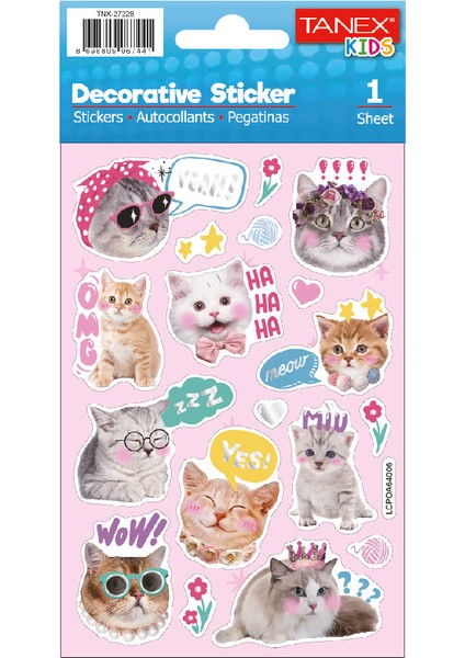 Puffy Instagram Kedileri Serisi TNX-27228