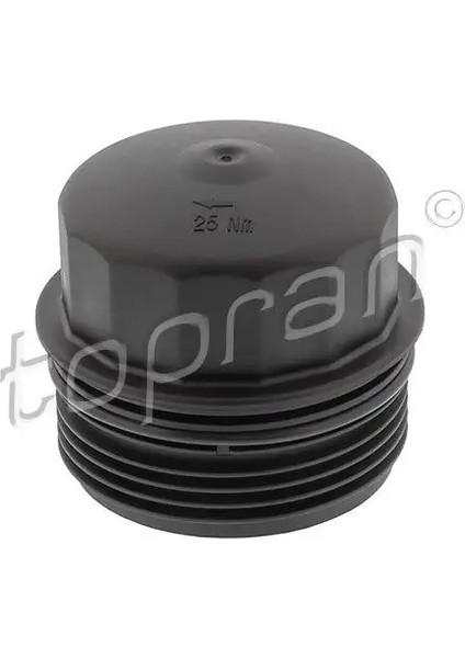 503474001 Yag Filtre Kapagi 11427808764