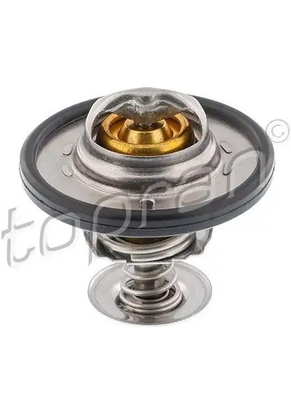 302141002 Termostat 1096283 1338F5 9661331580