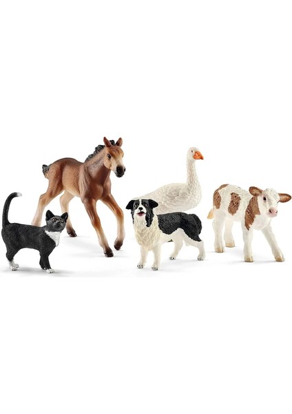 Schleich Fw Hayvanları Kız Erkek Çocuk Oyuncak Eğitici Oyuncaklar