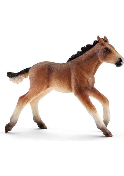 Schleich Fw Hayvanları Kız Erkek Çocuk Oyuncak Eğitici Oyuncaklar modelleri