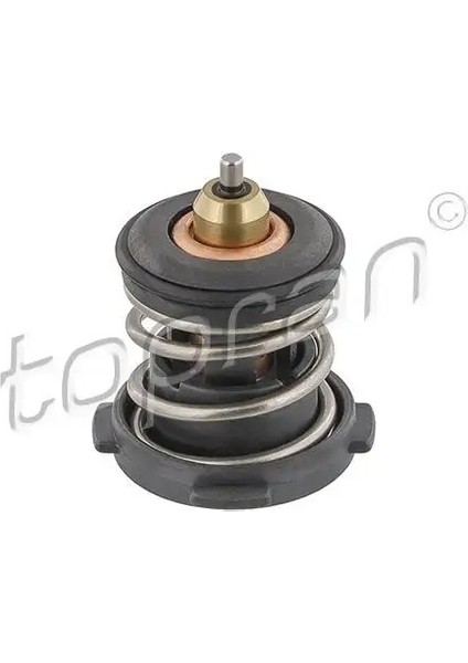 638754001 Termostat 04E121113C