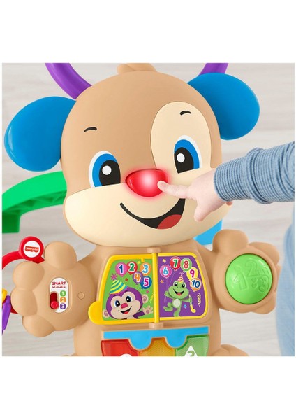 FTG10 Fisher-Price® Eğitici Köpekçik Yürüteç /türkçe Kız Erkek Çocuk Oyuncak Eğitici Oyuncaklar fırsatları