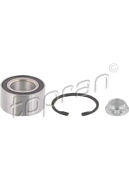 500637001 Arka Aks Bilyasi 33411124358