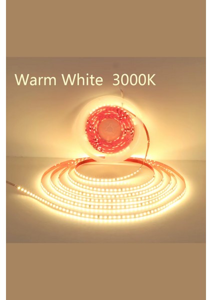 220 Volt Şerit LED Dim Edilebilir 10 cm De Bir Kesilebilir Gün Işığı IP65 Şerit LED (5 Metre) fiyatları