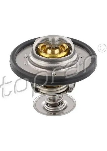 305170001 Termostat 1812482