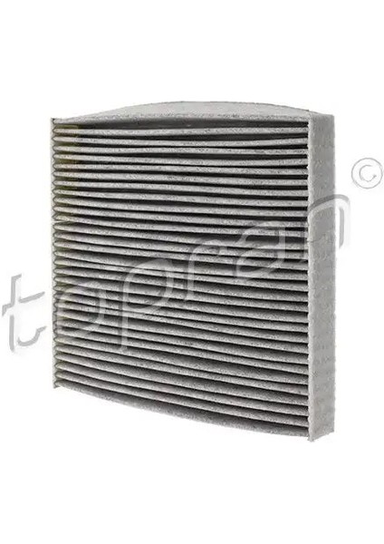 410107001 Polen Filtresi (Karbonlu) A2478300800