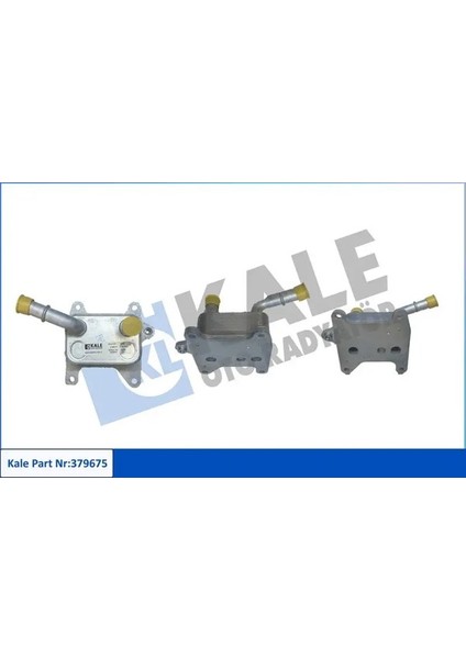 379675 Motor Yag Sogutucusu 213053566R