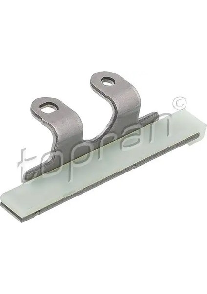 821842001 Eksantrik Zincir Kizagi 2443203000