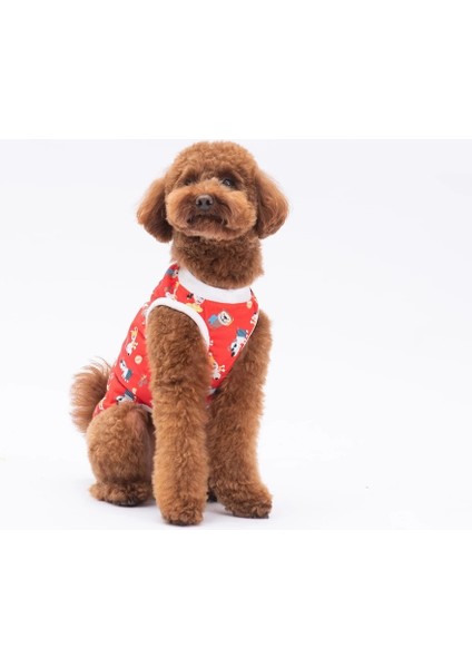 Holiday Dogs Kedi Köpek Tişört fiyatları