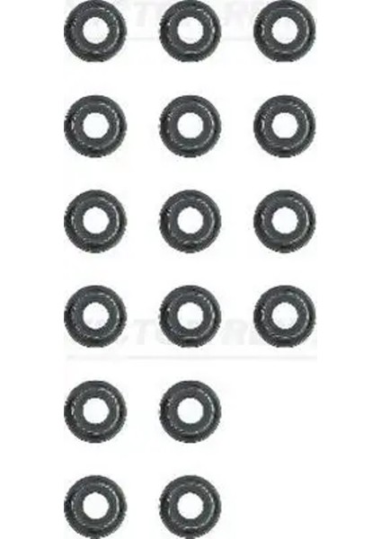 125282901 Supap Lastigi 0KL0210155 30874486 8944709460