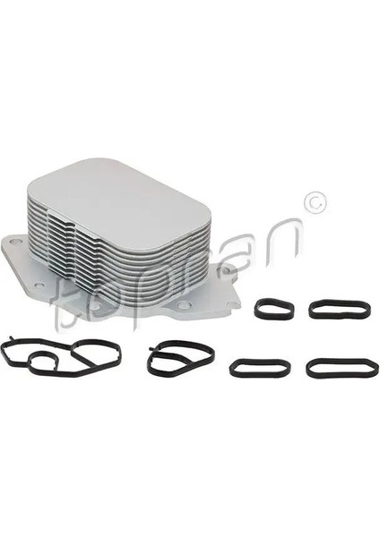 723123001 Motor Yag Sogutucusu 1103K2 11427805977 1145941