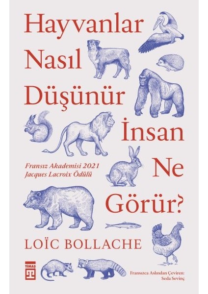 Hayvanlar Nasıl Düşünür Insanlar Ne Görür?