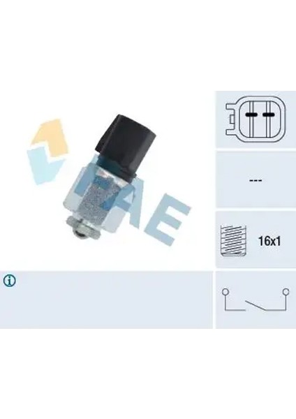 40595 Geri Vites Musiri 1087523 1433084 1441361