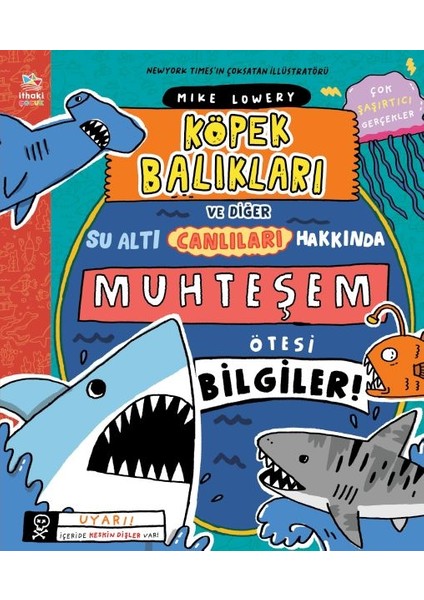 Köpek Balıkları ve Diğer Su Altı Canlıları Hakkında Muhteşem Ötesi Bilgiler!