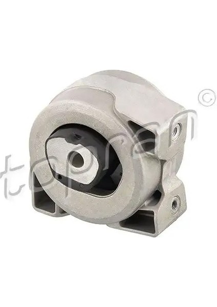 407833001 Sanziman Takozu A1692401218