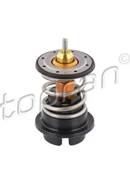 117252001 Termostat 03H121113 03H121113D