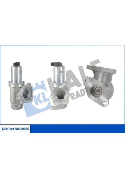 349065 Egr Valfi 138495 2508495 2841027400