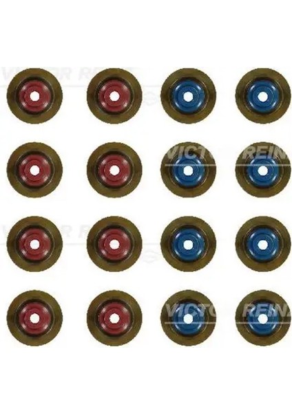 121001201 Supap Lastigi 55478004 55595873 642100