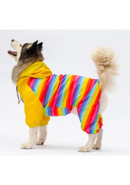 Peru Büyük Irk Köpek Tulum Yağmurluk