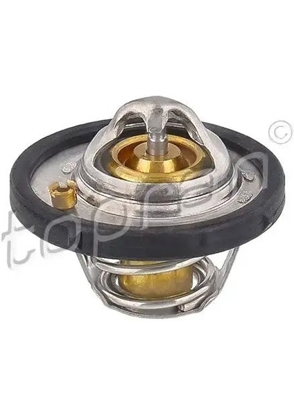 301890001 Termostat 1306004 1712228 30711624