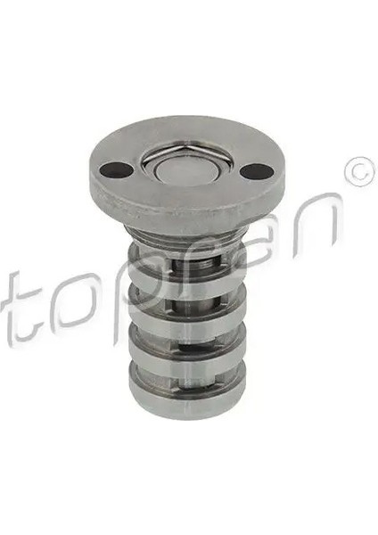 113724001 Eksantrik Kumanda Valfi 06H109257C