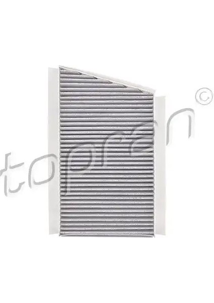 400206001 Polen Filtresi (Karbonlu) A2038300918