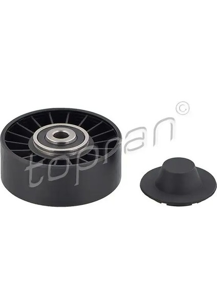 109149001 Alternator Gergi Bilyasi 038145276