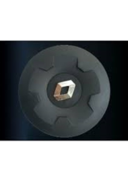 Master Iı Jant Göbeği Armalı ( 1 Adet ) 8200035453