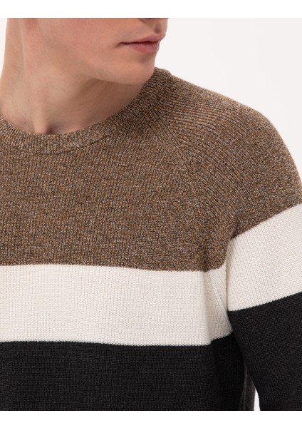 Erkek Kahverengi Slim Fit Bisiklet Yaka Triko Kazak 50259863-VR163