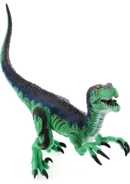 Sesli ve Işıklı Dinozor Raptor 30CM Kız Erkek Çocuk Oyuncak Eğitici Oyuncaklar