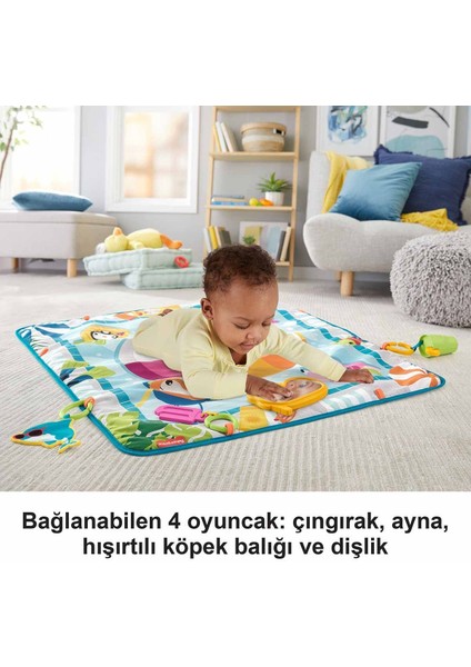 Fisher Price Havuz Keyfi Oyun Minderi GRR44 Kız Erkek Çocuk Oyuncak Eğitici Oyuncaklar modelleri