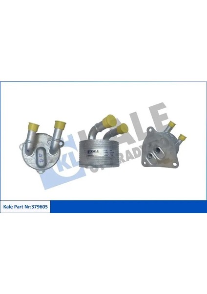 379605 Motor Yag Sogutucusu 77367782