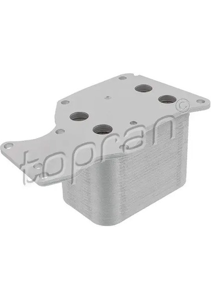 625273001 Motor Yag Sogutucusu 11428574005 11428585625