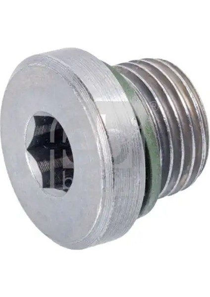 172181 Karter Tapasi 01V321377 1V321377 24117571242