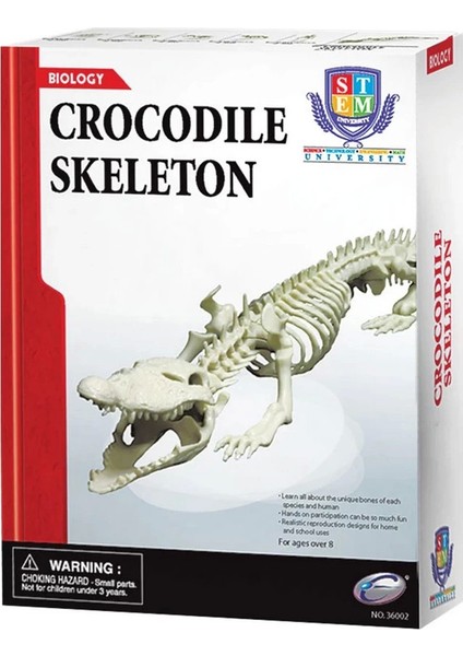 Timsah Iskeleti Bilim Seti Kız Erkek Çocuk Oyuncak Eğitici Oyuncaklar fiyatları