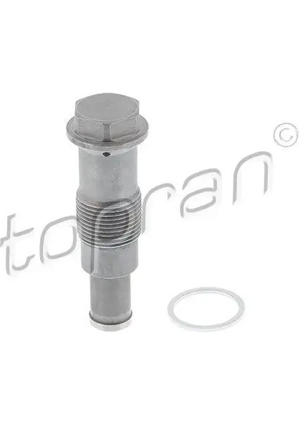 504085001 Eksantrik Zincir Gergisi 11317617475 11318622486