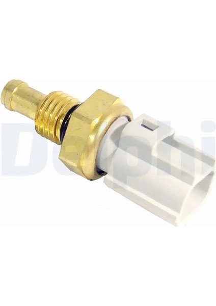 TS10287 Hararet Musiri 1047284 30658181 30777334