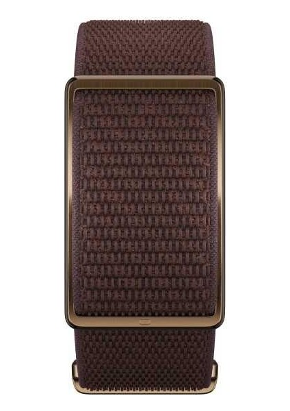 Loop Gen2 Ekransız, Giyilebilir Sağlık Bilekliği ve Kondisyon Izleyici Copper/brown S-L fiyatları