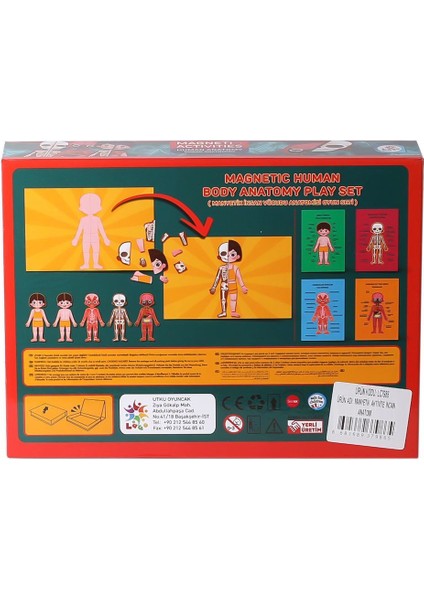 LC986 Manyetik Aktivite Insan Anatomisi -Laço Kız Erkek Çocuk Oyuncak Eğitici Oyuncaklar fiyatları