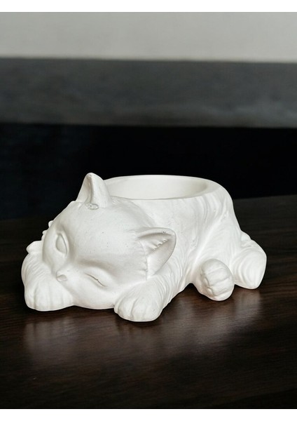 Uyuyan Kedi Minimalist Dekoratif Kaktüs ve Sukulent Saksısı, Beyaz Renkli Hediyelik Kaktüs ve Sukulent Saksısı , Ev Dekoru, Masa Dekoru