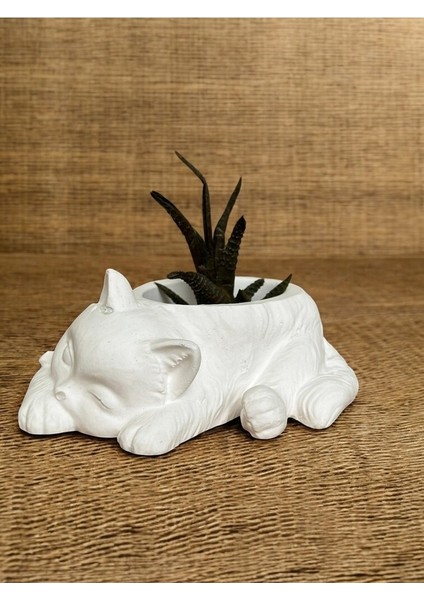 Uyuyan Kedi Minimalist Dekoratif Kaktüs ve Sukulent Saksısı, Beyaz Renkli Hediyelik Kaktüs ve Sukulent Saksısı , Ev Dekoru, Masa Dekoru