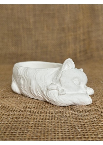 Uyuyan Kedi Minimalist Dekoratif Kaktüs ve Sukulent Saksısı, Beyaz Renkli Hediyelik Kaktüs ve Sukulent Saksısı , Ev Dekoru, Masa Dekoru