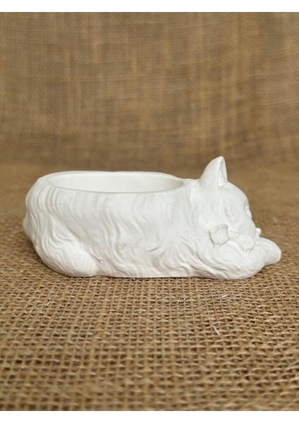 Uyuyan Kedi Minimalist Dekoratif Kaktüs ve Sukulent Saksısı, Beyaz Renkli Hediyelik Kaktüs ve Sukulent Saksısı , Ev Dekoru, Masa Dekoru