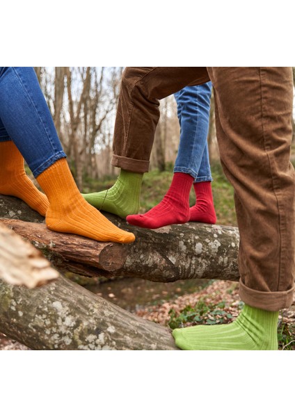 4 Çift Kadın Erkek Renkli Bio Naturel %100 Doğal Pamuklu Ribana Örgü Dikişsiz Soket Çorap 3014 fiyatları